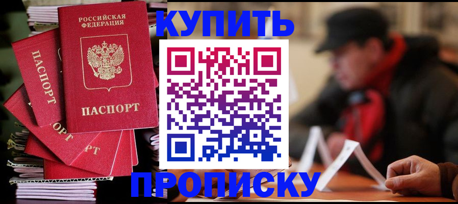 купить прописку в Петропавловске-Камчатском